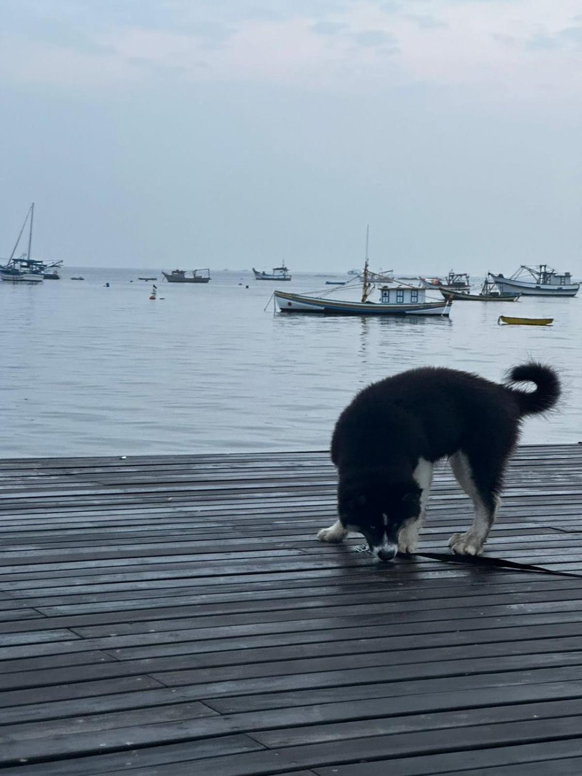 Pousada Refugio Paradisiaco 1 Piçarras Zewnętrze zdjęcie